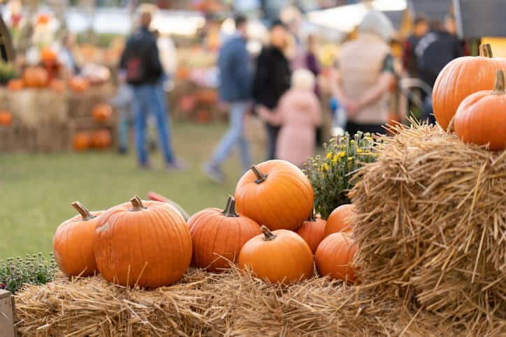 Zeit für Herbstmärkte in Oberschwaben